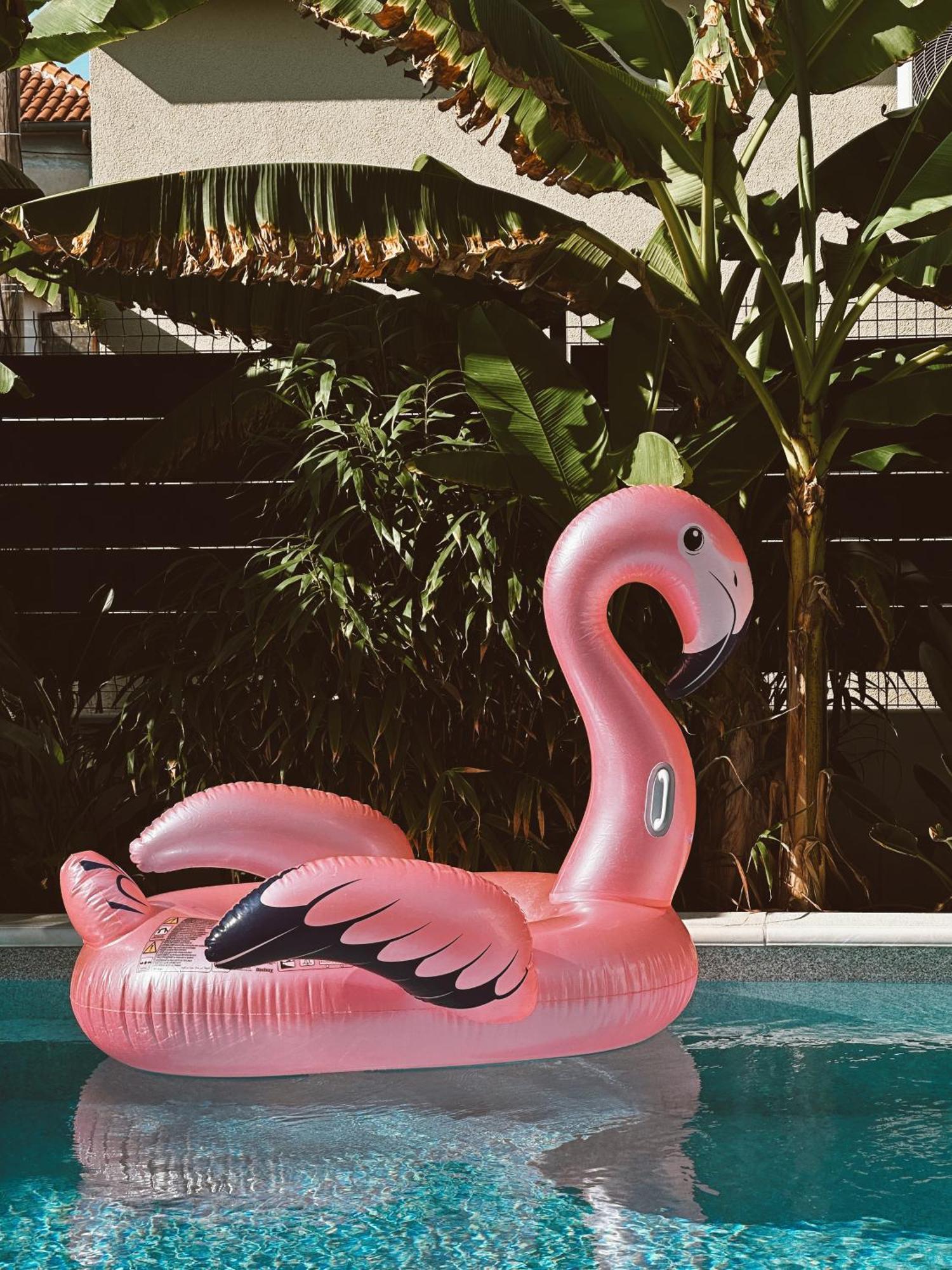 Bernie With A Pool